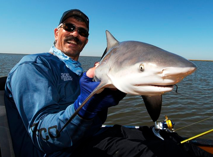 Bull Shark on Spinning Tackle from the Beach 