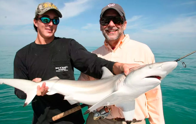 Fly Fishing for Blacktip Sharks off South Carolina